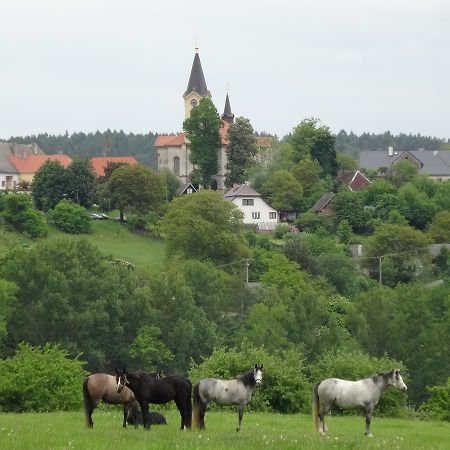 Hostinec U Janatu S Ubytovanim Cestin Bagian luar foto